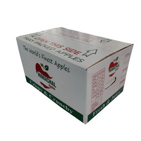 Apple Packaging Boxes